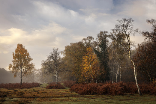 �1760232 �������(a): ����������:3840x2560